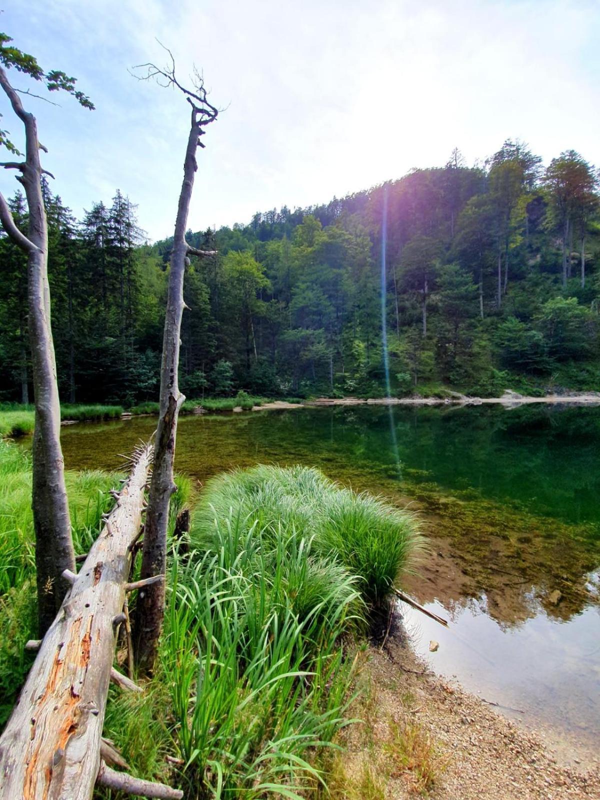 Appartement Haus Fuesslmuehle à Fuschl am See Extérieur photo
